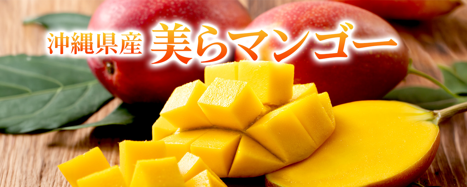 沖縄産美ら
マンゴー