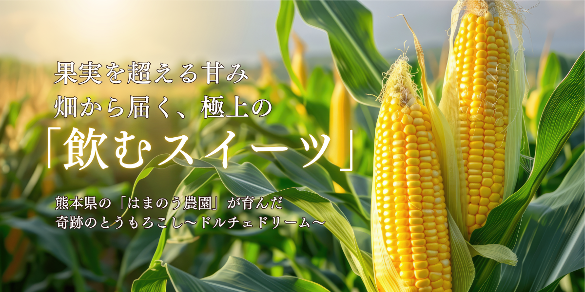 【予約販売】はまのう農園のドルチェドリーム(熊本県産：とうもろこし)