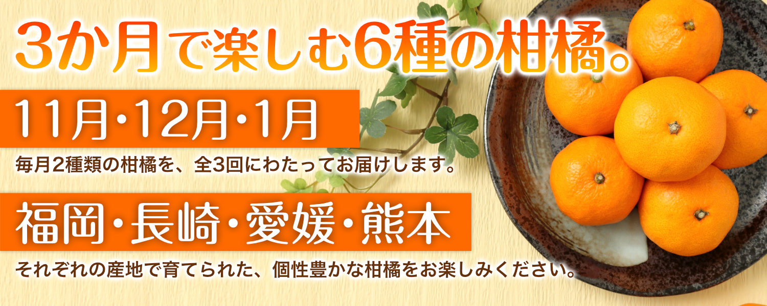 3か月で楽しむ6つの柑橘。11月・12月・1月に毎月2種類の柑橘を全3回お届けするみかん頒布会。福岡・長崎・愛媛・熊本それぞれの産地で育てられた個性豊かな柑橘を楽しめます。