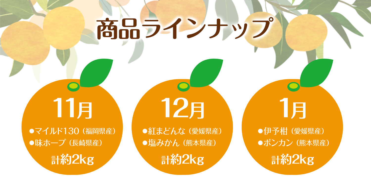 みかん頒布会の商品ラインナップ。11月は福岡県産マイルド130と長崎県産味ホープ、12月は愛媛県産紅まどんなと熊本県産塩みかん、1月は愛媛県産伊予柑と熊本県産ポンカンを各月計約2kgお届けします。