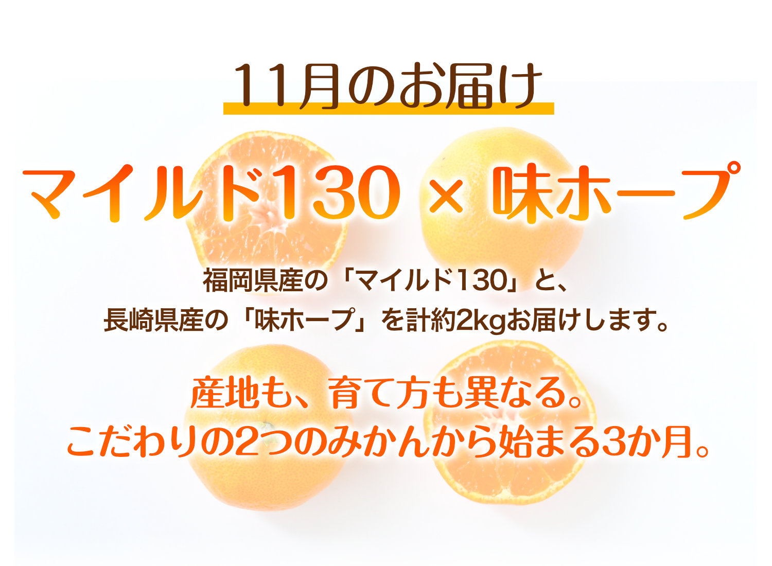 11月のお届けは福岡県産マイルド130と長崎県産味ホープ。産地も育て方も異なるこだわりの2つのみかんを計約2kgお届けする、みかん頒布会の11月商品です。