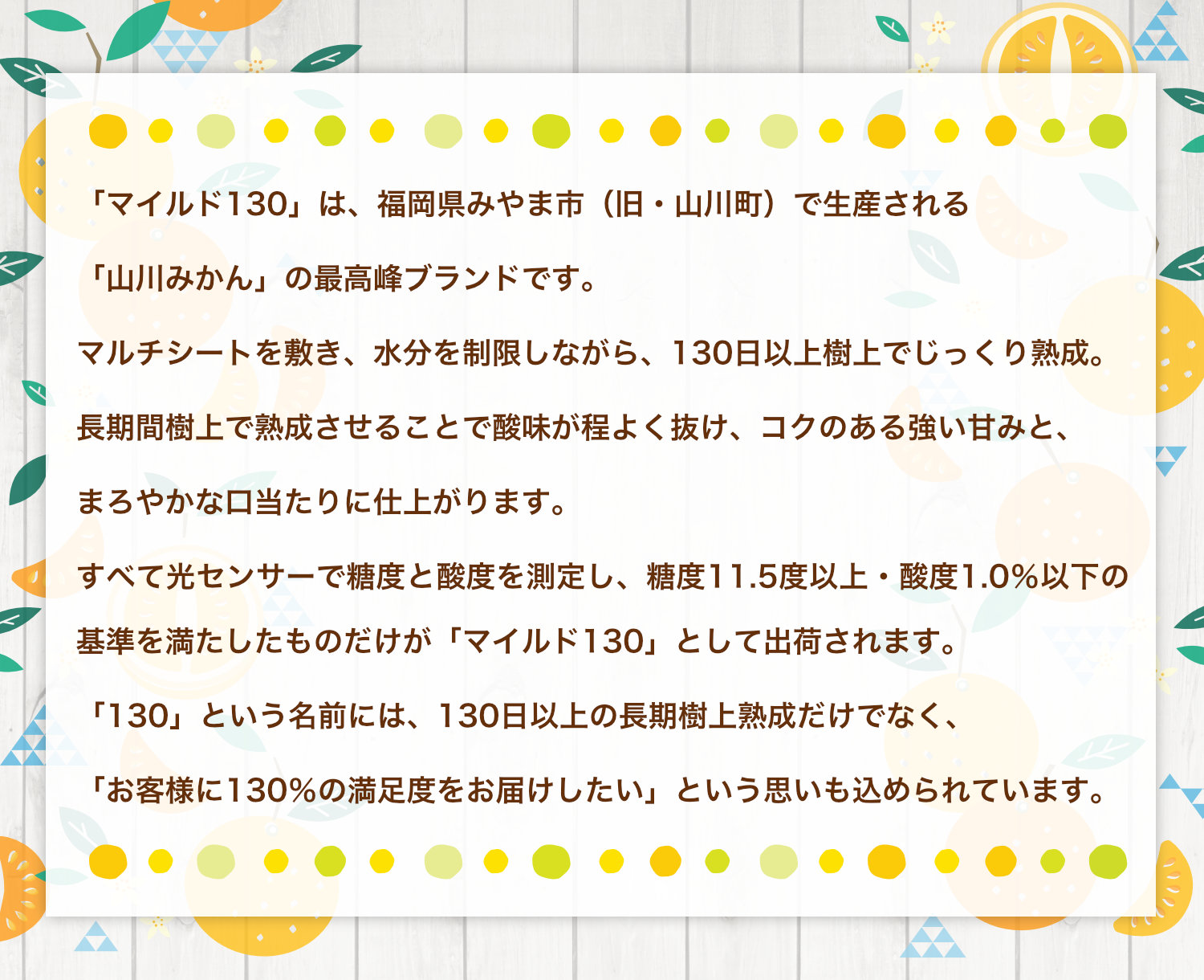 福岡県みやま市旧山川町で生産されるマイルド130。マルチシートで水分を制限しながら130日以上樹上で熟成し、光センサーで糖度と酸度を測定。糖度11.5度以上、酸度1.0％以下の基準を満たした山川みかんです。