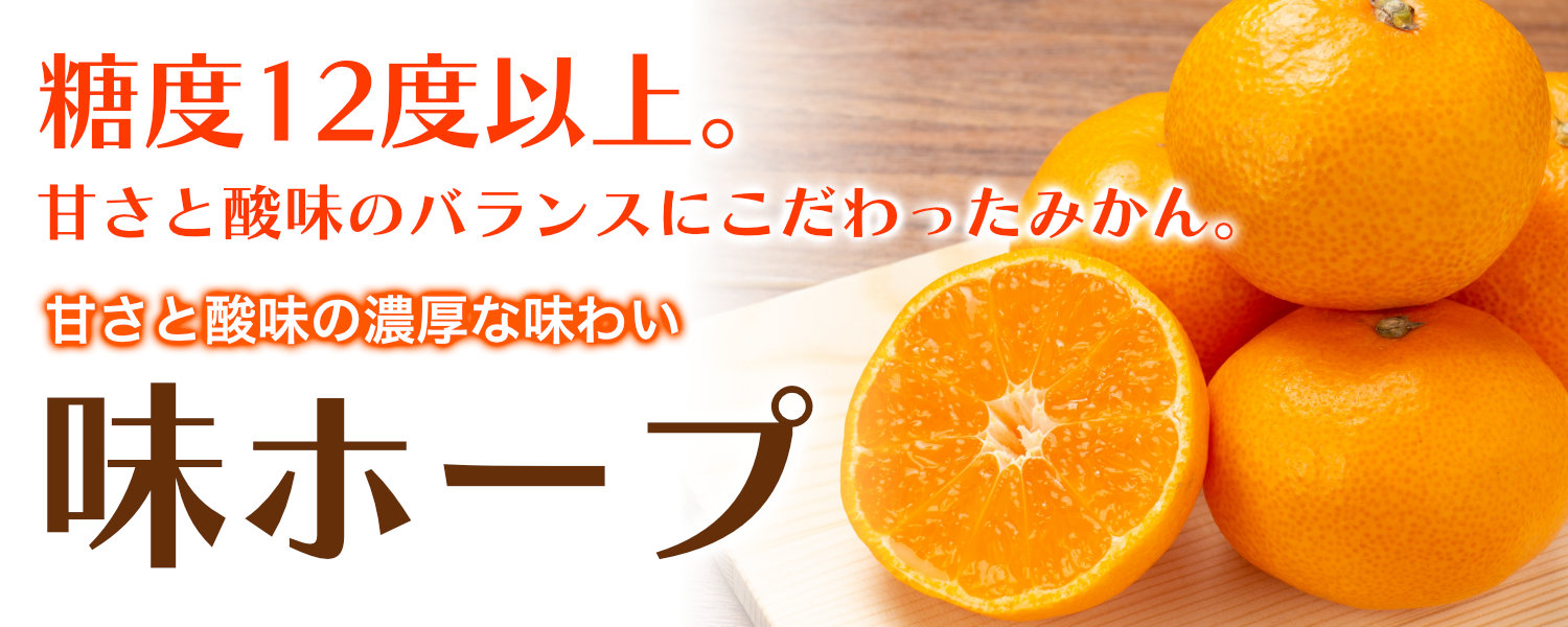 長崎県産の味ホープ。糖度12度以上で、甘さと酸味のバランスにこだわったみかん。甘さと酸味の濃厚な味わいを楽しめる味ホープです。