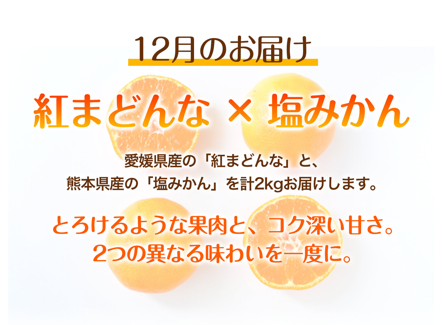 12月のお届けは愛媛県産の紅まどんなと熊本県産の塩みかん。2種類のこだわりの柑橘を計2kgお届けする、みかん頒布会の12月商品です。