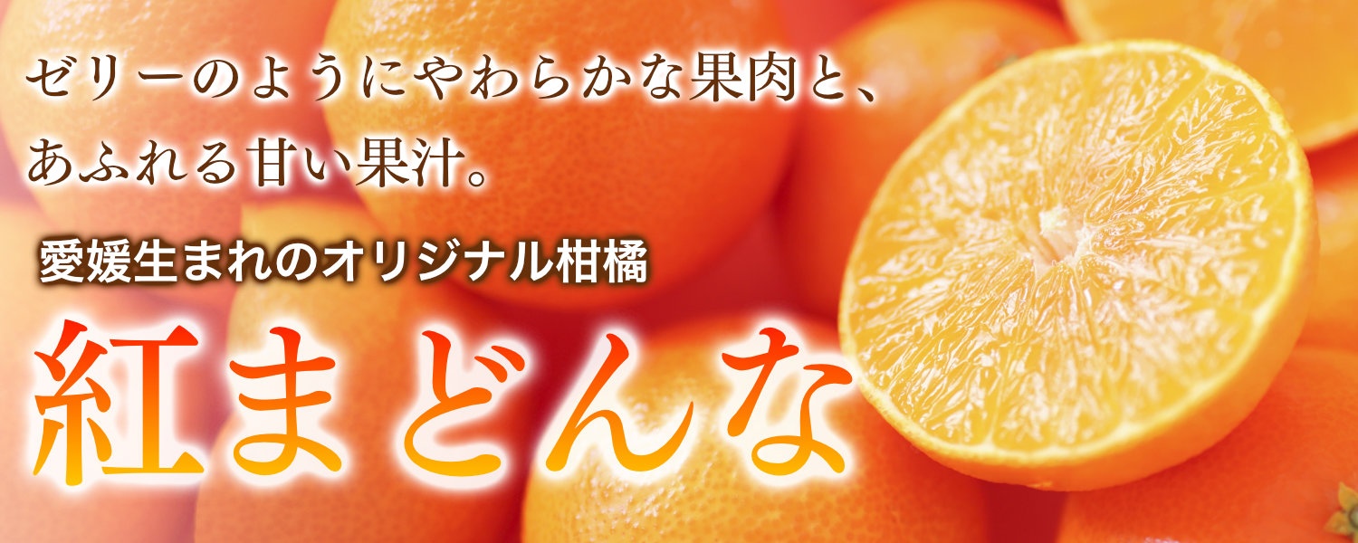 愛媛生まれのオリジナル柑橘、紅まどんな。ゼリーのようにやわらかな果肉とあふれる甘い果汁が特徴です。