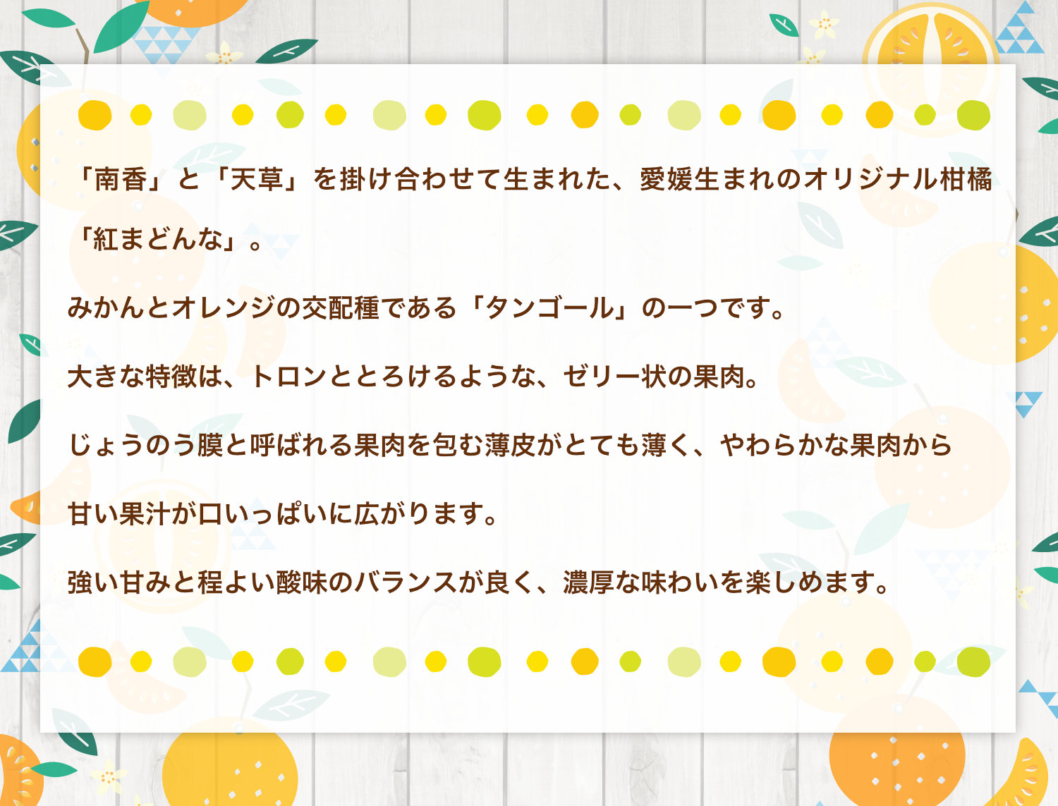 愛媛県産紅まどんなの紹介。南香と天草を掛け合わせて生まれた愛媛オリジナルの柑橘で、みかんとオレンジの交配種であるタンゴールの一つ。トロンととろけるようなゼリー状の果肉と薄いじょうのう膜、甘い果汁、強い甘みとほどよい酸味が特徴です。