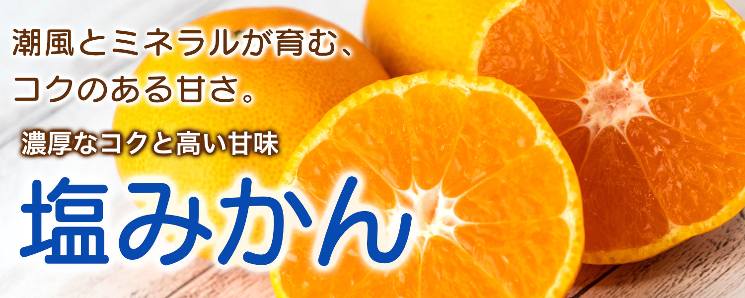 熊本県産の塩みかん。潮風とミネラルが育むコクのある甘さと、濃厚なコクと高い甘味が特徴のブランドみかんです。