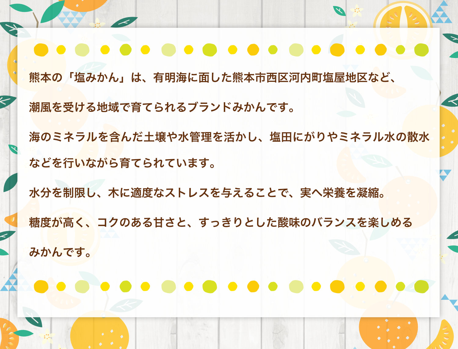熊本県産塩みかんの紹介。有明海に面した熊本市西区河内町塩屋地区など潮風を受ける地域で育てられるブランドみかん。海のミネラルを含んだ潮風や水分管理を活かして栽培され、糖度が高くコクのある甘さとすっきりとした酸味が特徴です。
