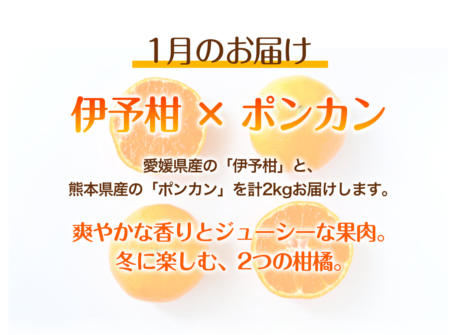 1月のお届けは愛媛県産の伊予柑と熊本県産のポンカン。旬の柑橘2種類を計2kgお届けする、みかん頒布会の1月商品です。
