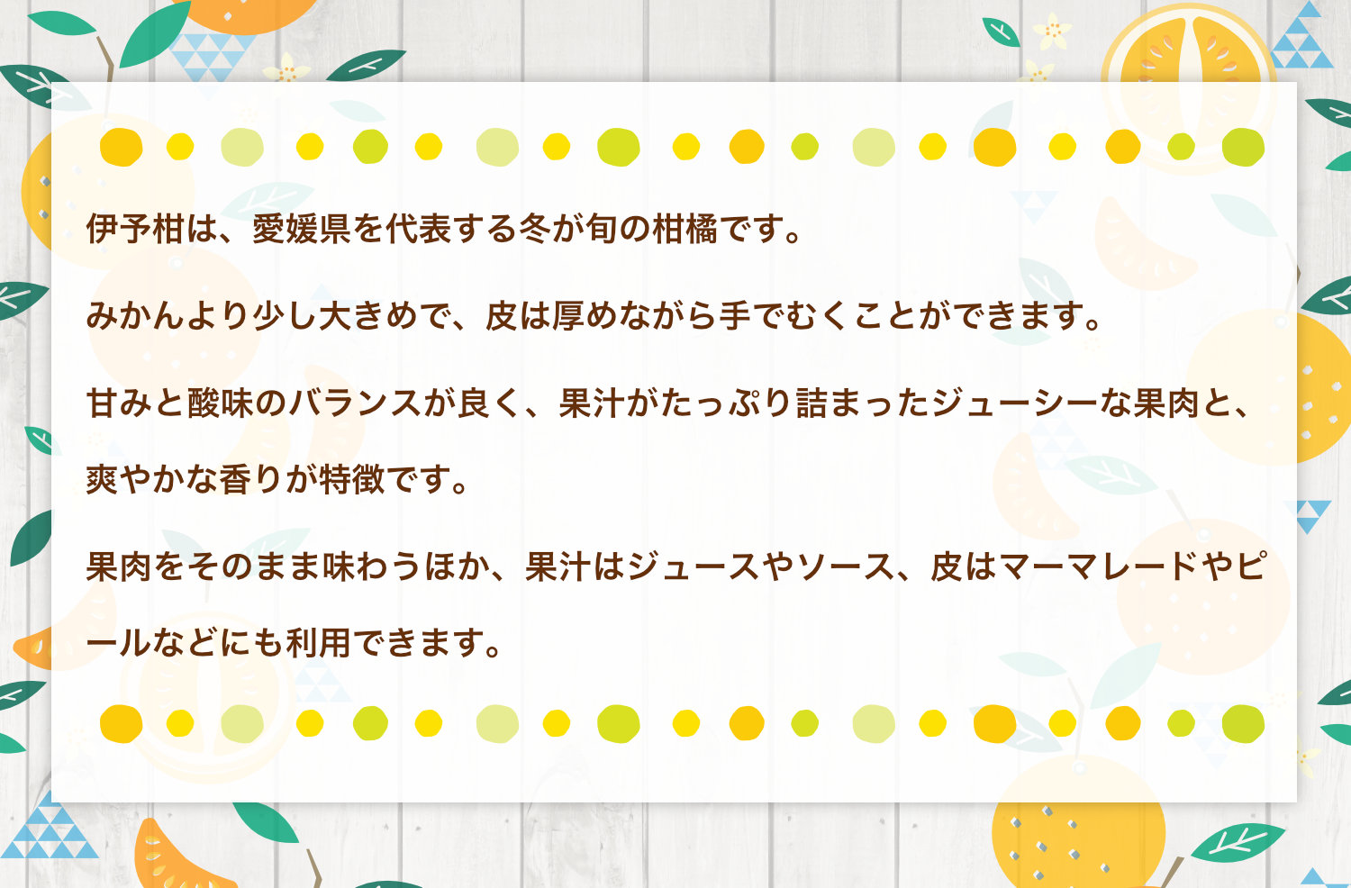 愛媛県産伊予柑の紹介。冬が旬の愛媛県を代表する柑橘で、みかんより少し大きく皮は厚めながら手でむくことができます。甘みと酸味のバランスが良く、果汁たっぷりのジューシーな果肉と爽やかな香りが特徴です。