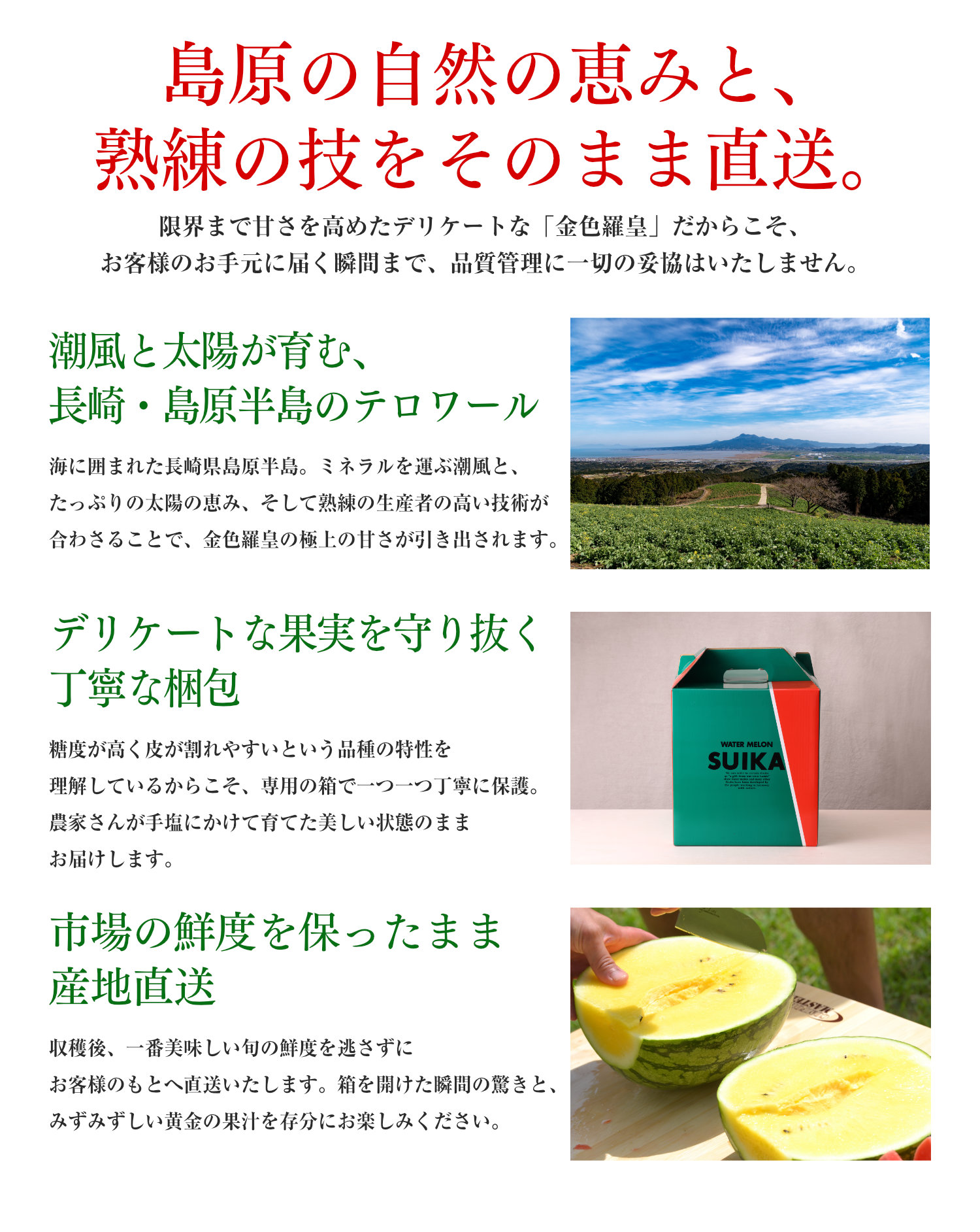 長崎県島原半島から鮮度を保ったまま産地直送でお届け