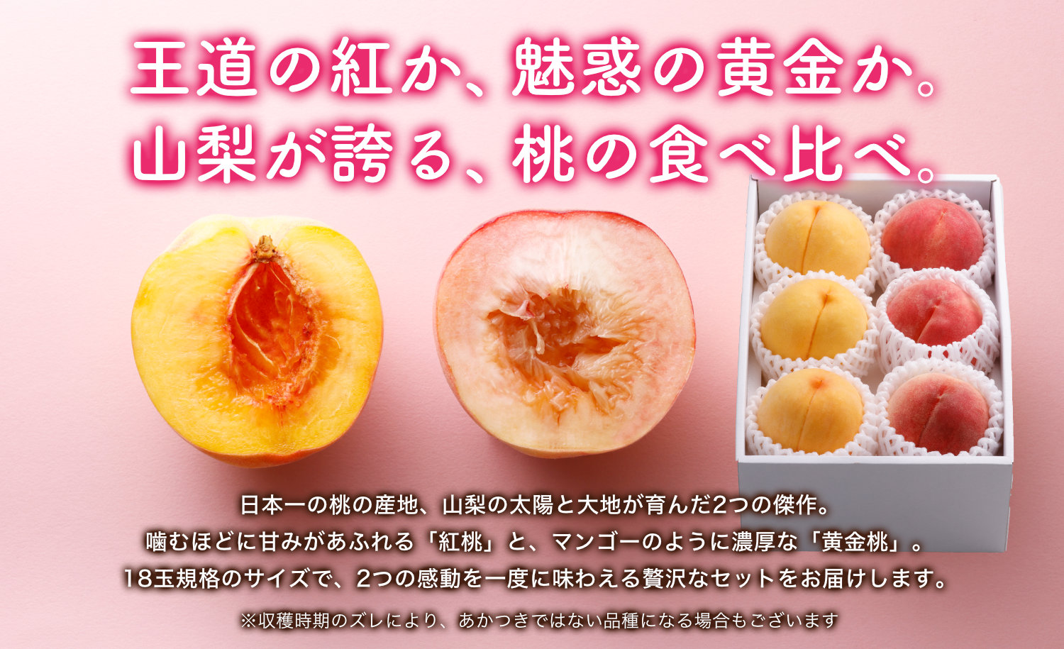 噛むほどに甘みがあふれる「紅桃」とマンゴーのように濃厚な「黄金桃」の贅沢セット