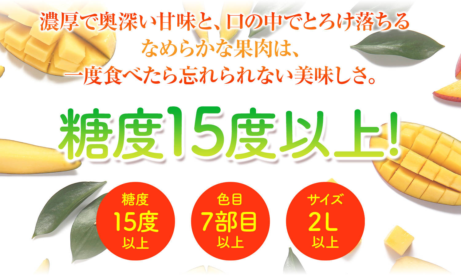 プレミアムマンゴー糖度