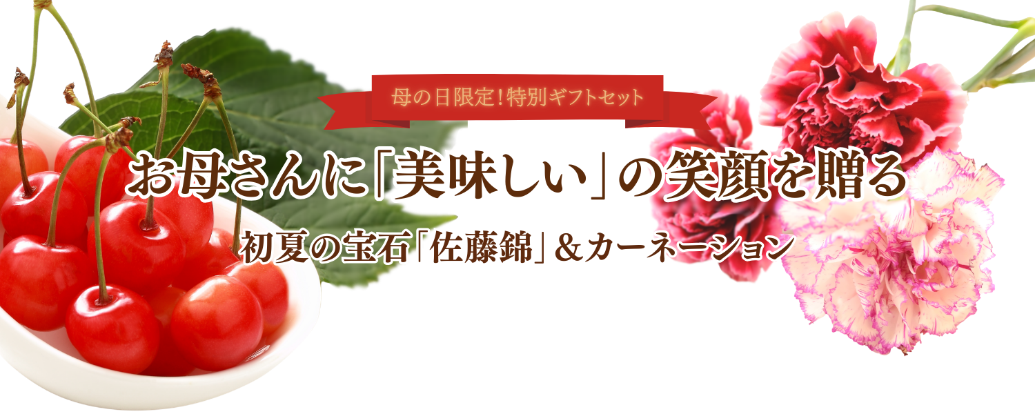 母の日限定特別ギフトセット