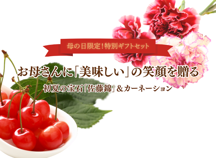 母の日限定特別ギフトセット