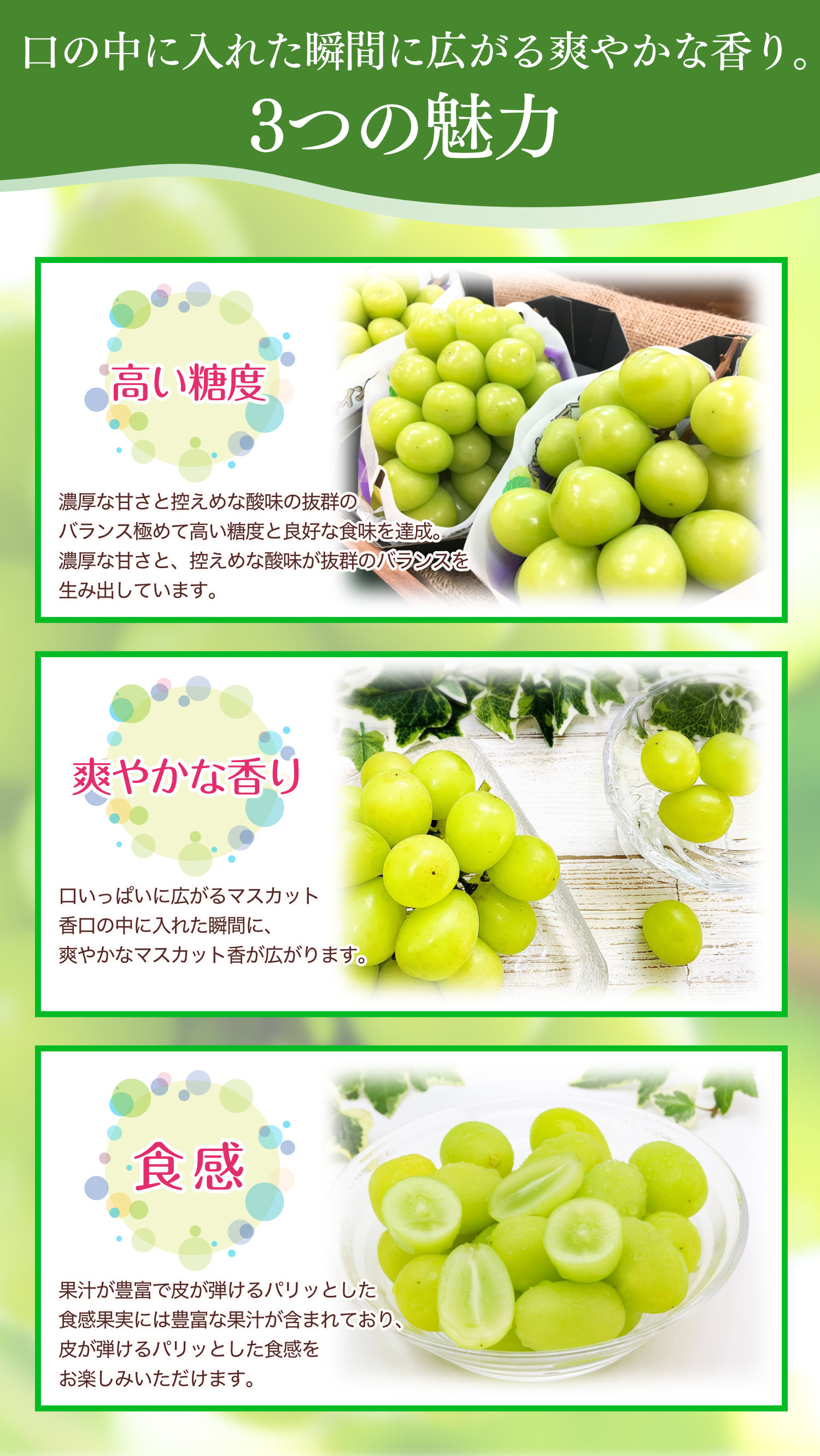シャインマスカット3つの魅力：濃厚な甘さの高い糖度、爽やかな香り、パリッとした食感