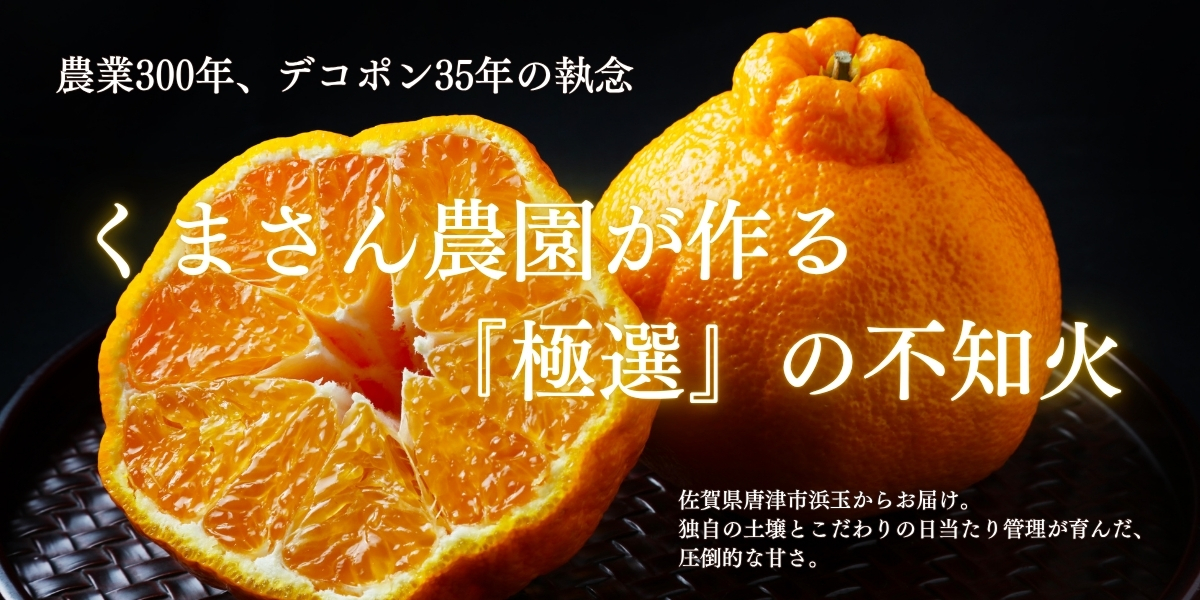 農業300年、デコポン35年の執念 くまさん農園が作る「極選」の不知火