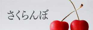 さくらんぼ