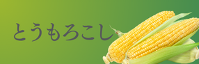 とうもろこし