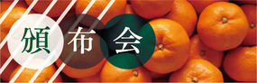 頒布会