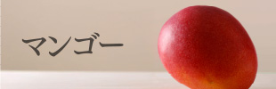 マンゴー