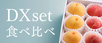 DXset食べ比べ